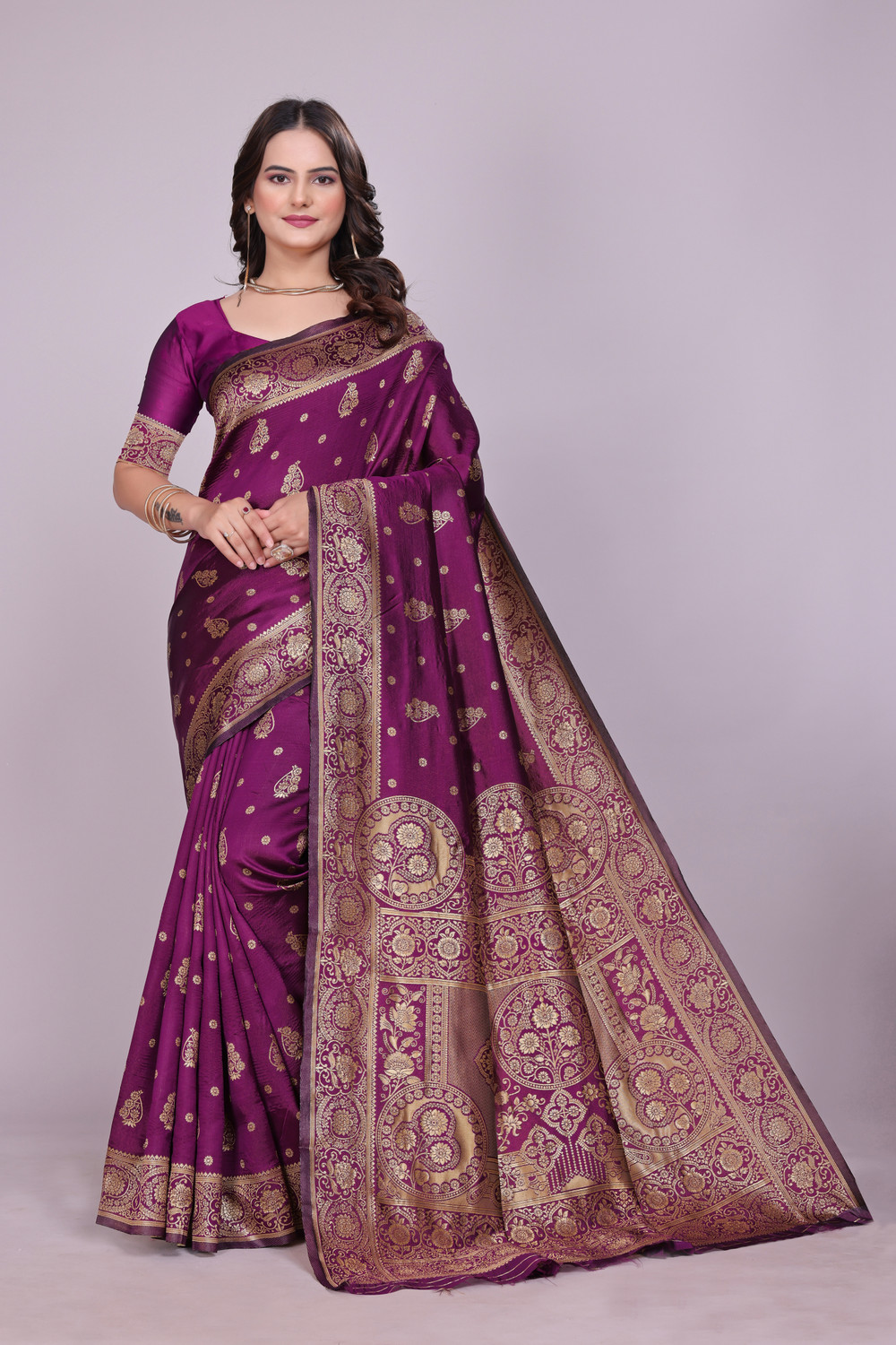 Image of DHRUVIL TEXTILES Self Design Banarasi Cotton Silk, Jacquard Saree