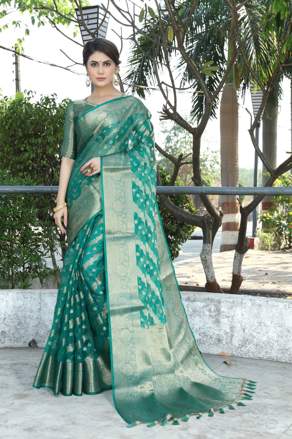 FINE WEAR Self Design Kanjivaram Organza Saree (Multicolor)
