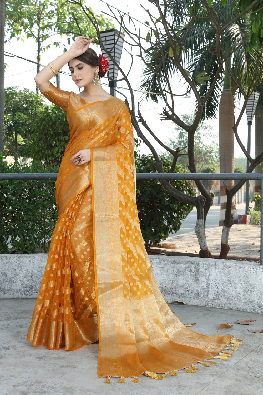 FINE WEAR Self Design Kanjivaram Organza Saree (Multicolor)