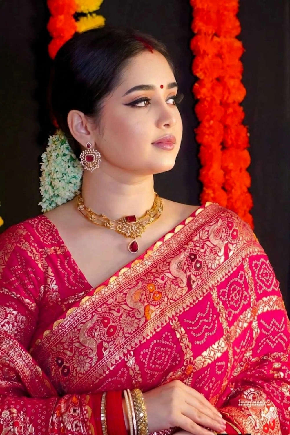 Image of Homigoz Embroidered Banarasi Pure Silk Saree