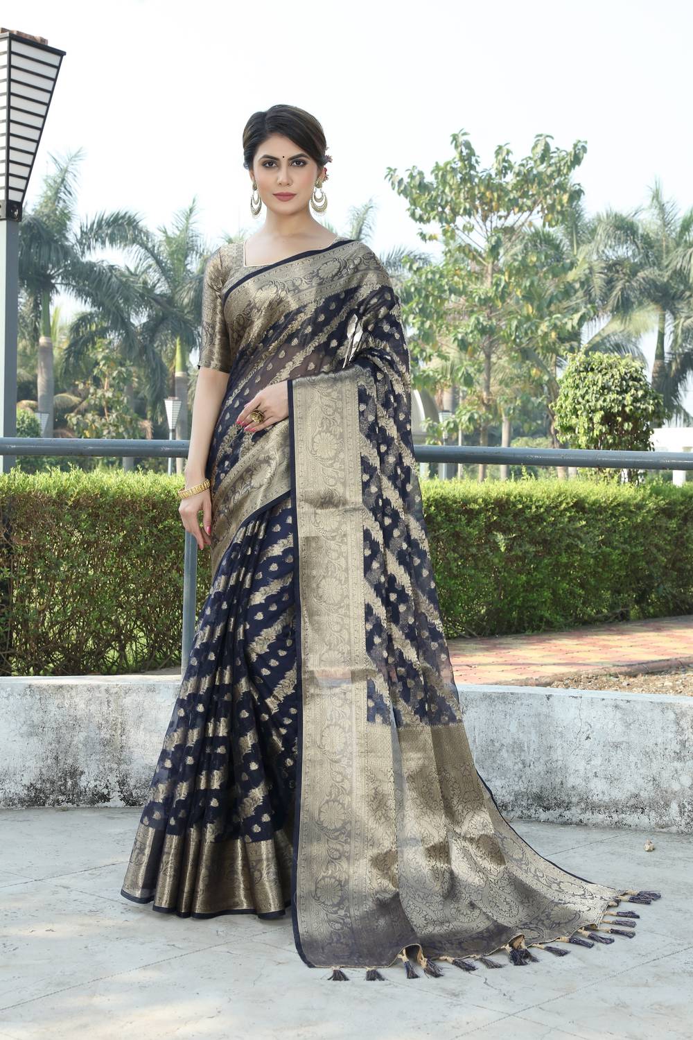 FINE WEAR Self Design Kanjivaram Organza Saree (Multicolor)