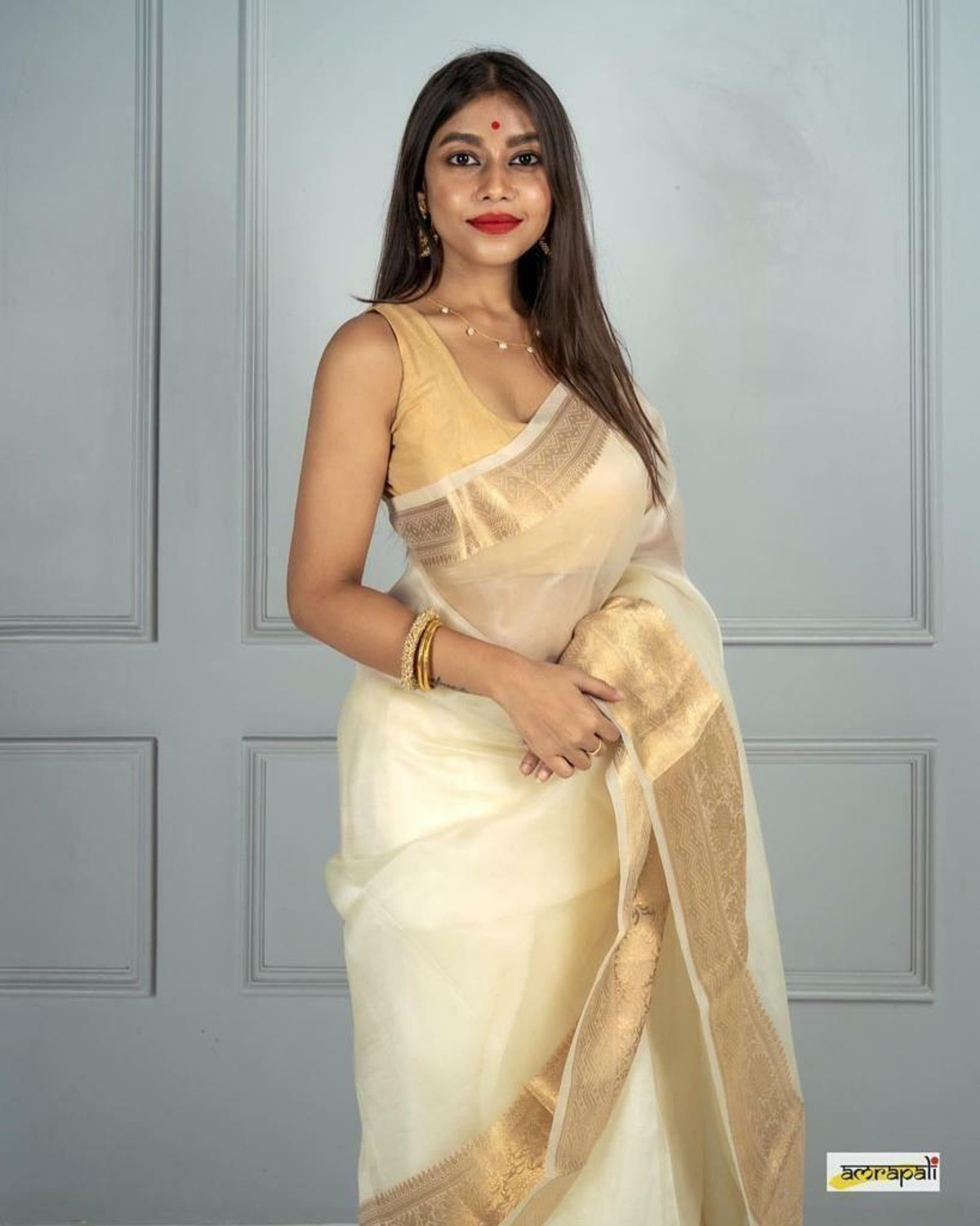 Image of Priya Woven Daily Wear Organza Saree