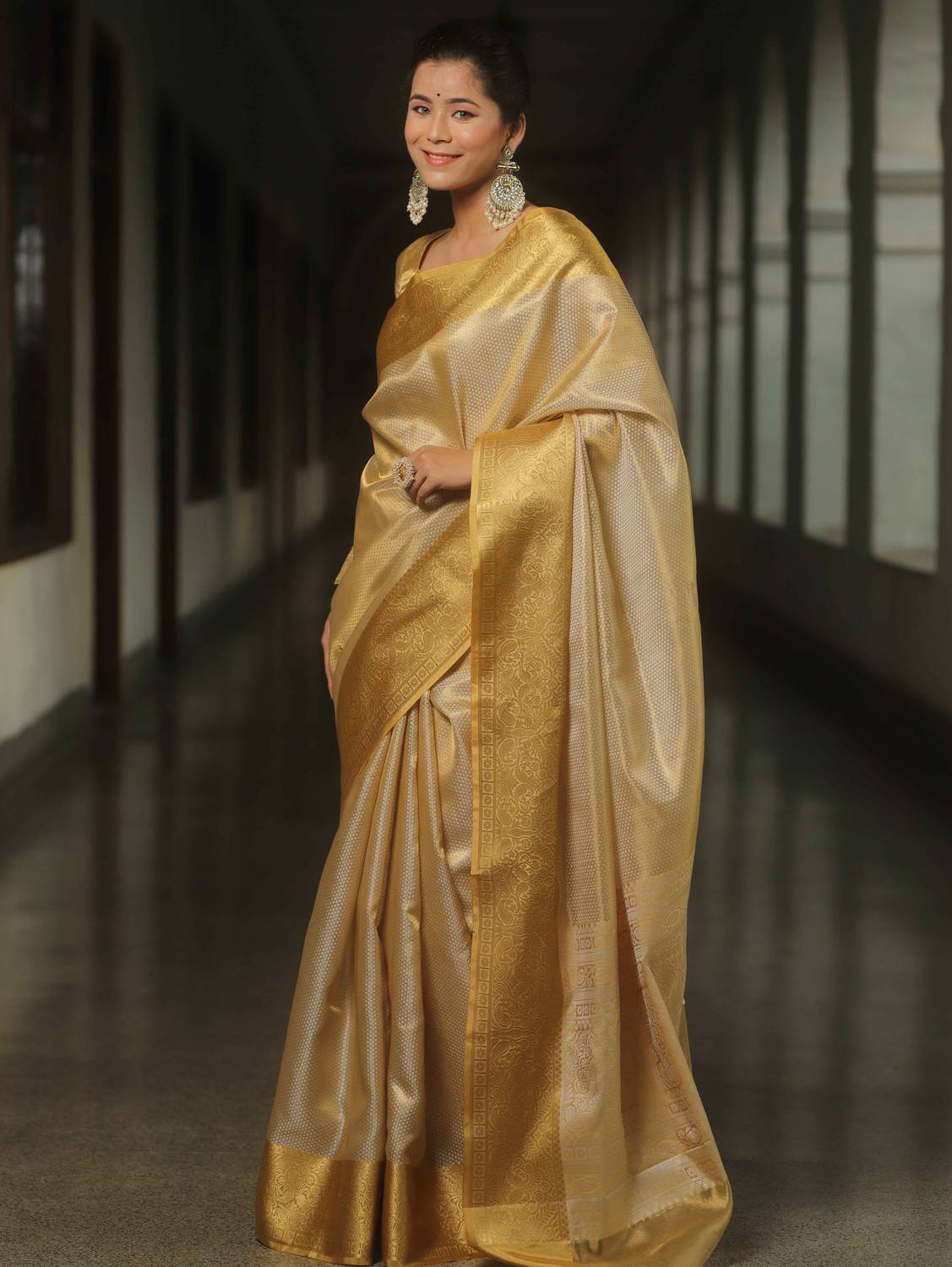 Banarasee Woven Banarasi Tissue Saree