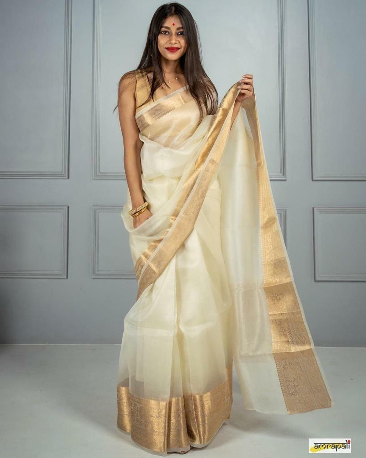 Image of Priya Woven Daily Wear Organza Saree