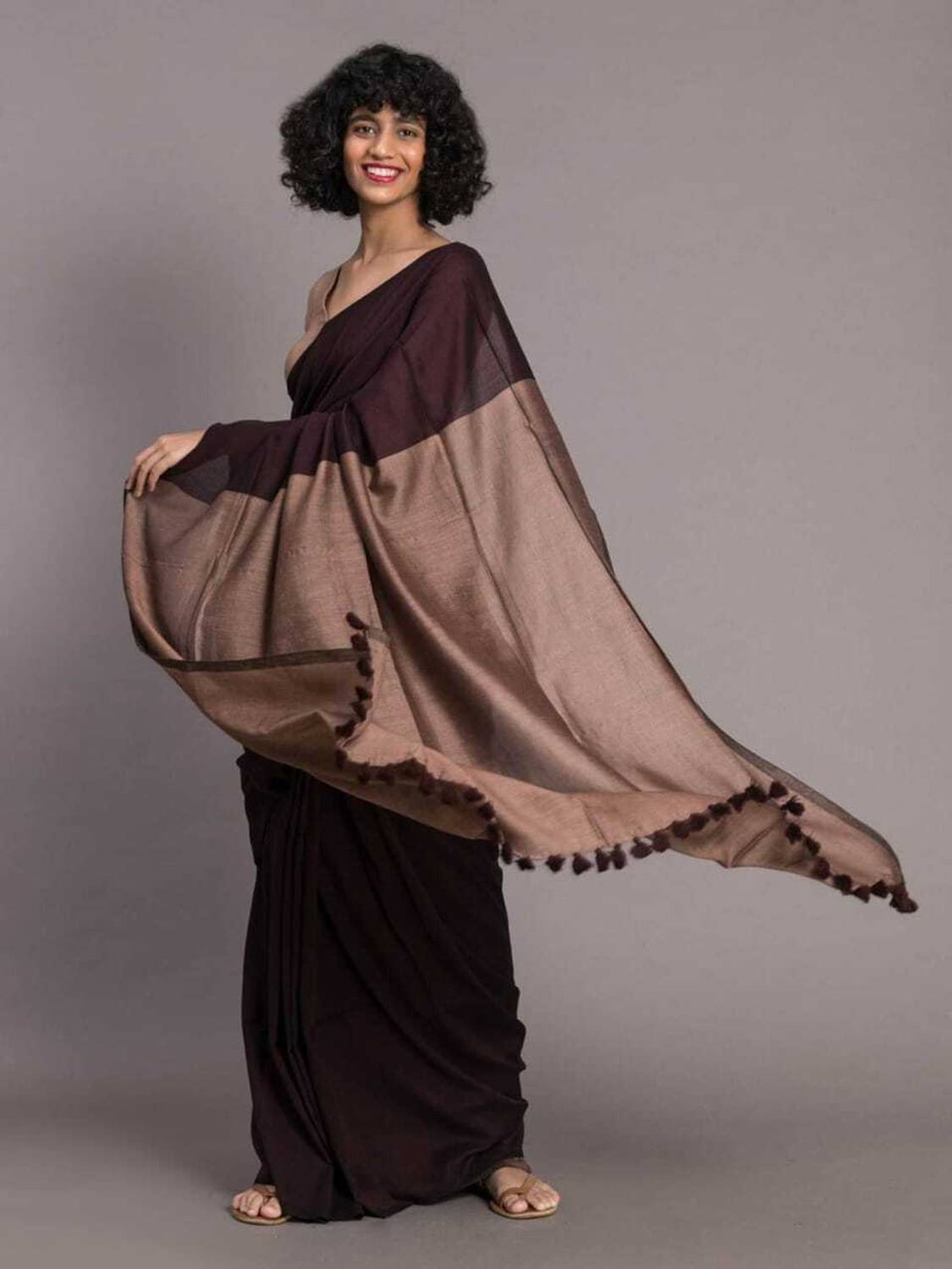 Sia Saree Bazaar Woven Handloom Pure Cotton Saree