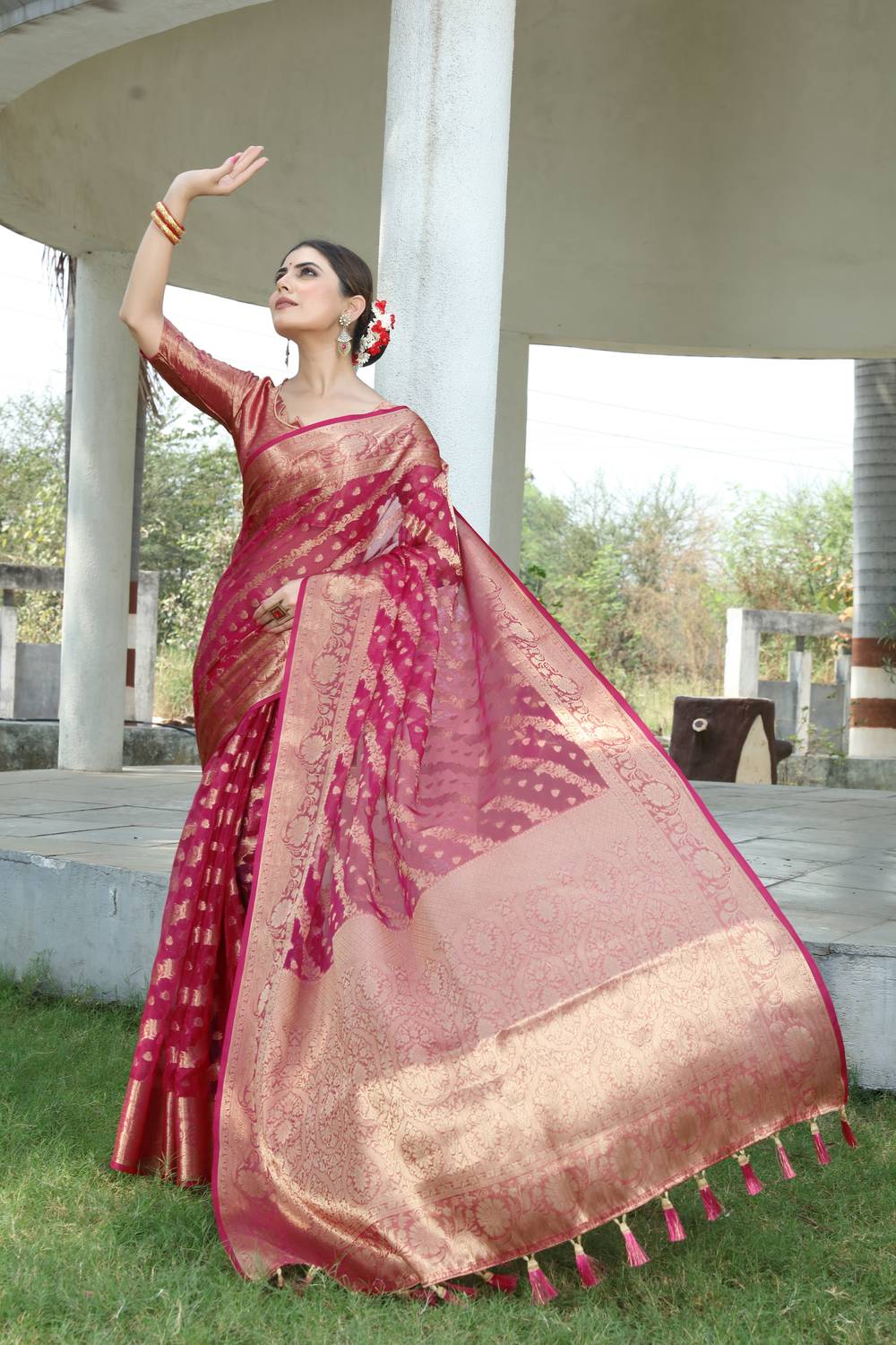 FINE WEAR Self Design Kanjivaram Organza Saree (Multicolor)