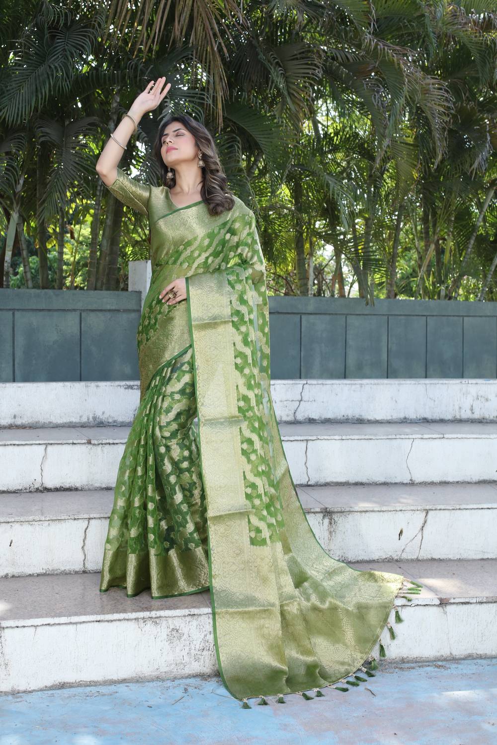 Perfect Wear Self Design Banarasi Organza, Cotton Silk Saree (Mul