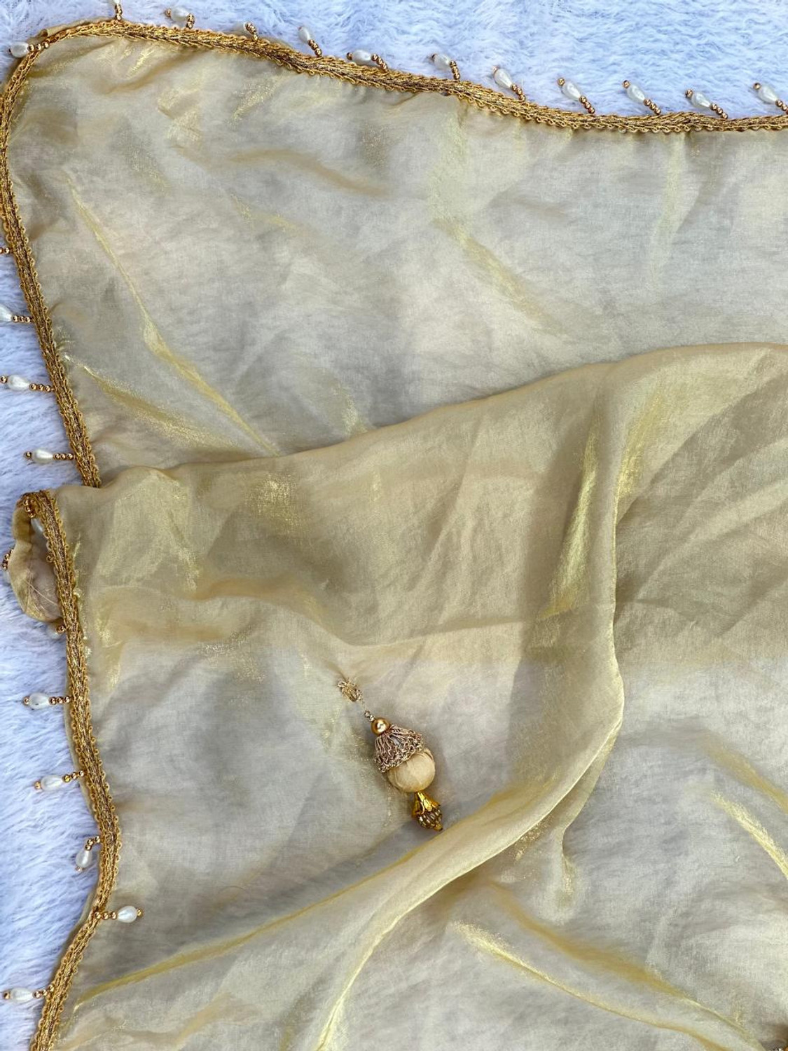 Image of sadala culture Embellished Bollywood Tissue Saree
