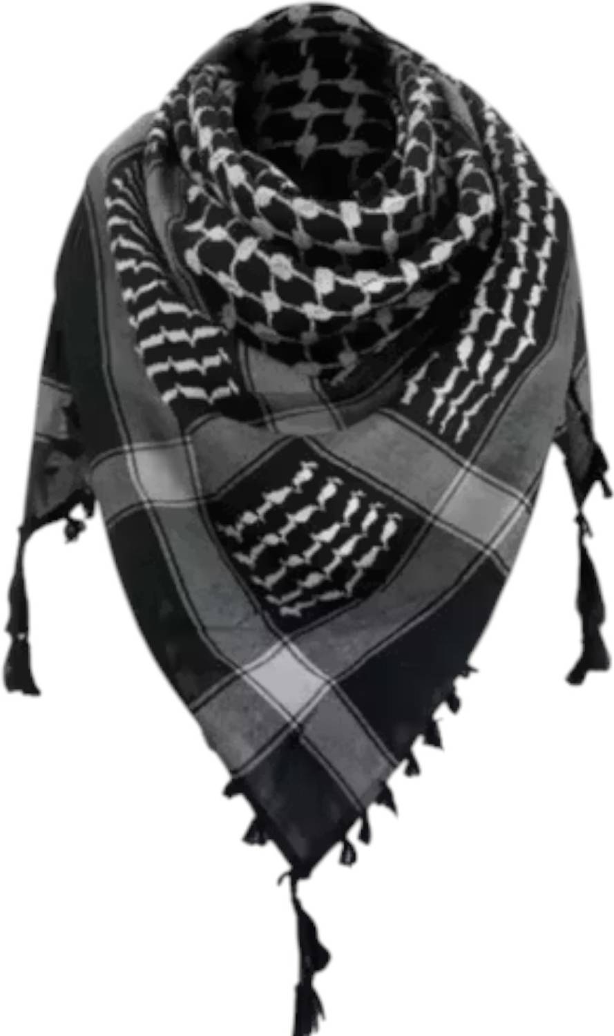 AFSIenterprises Checkered Cotton Blend Men & Women Scarf