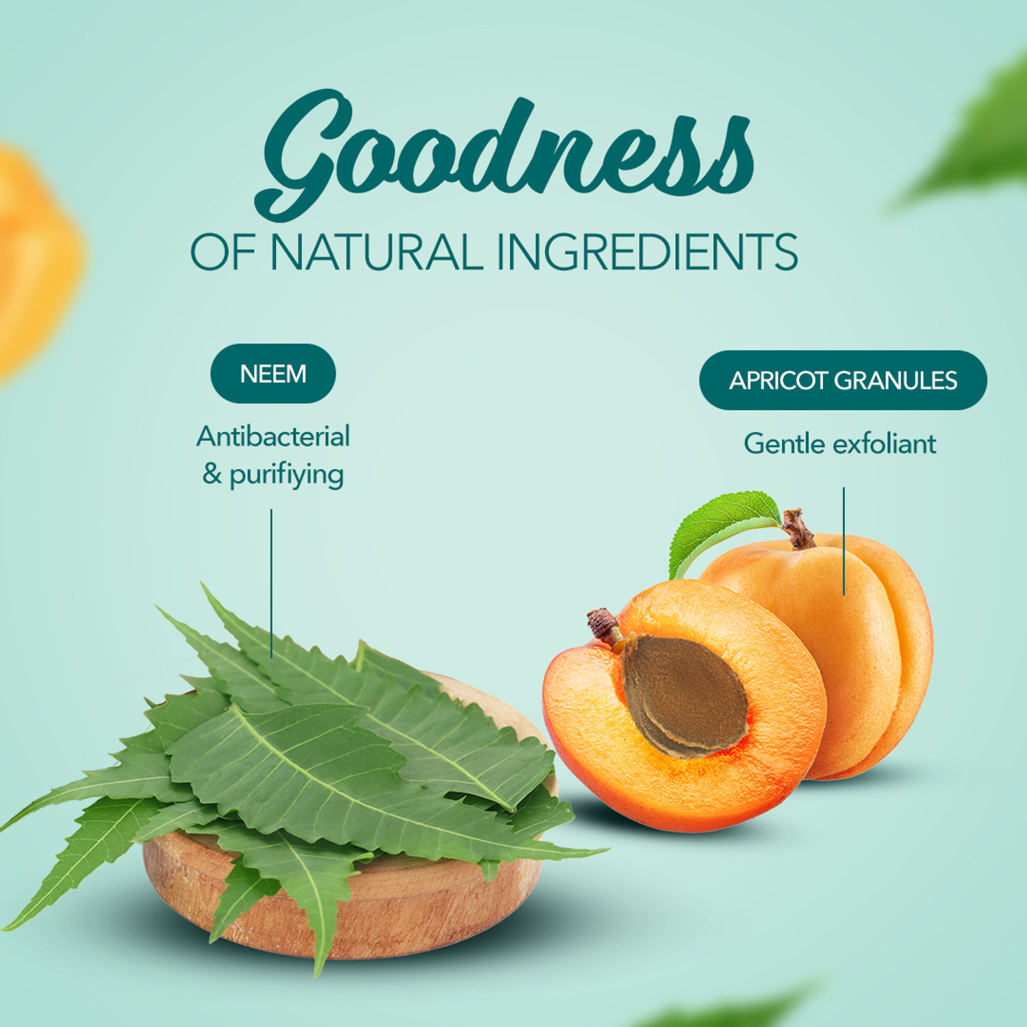 Image of HIMALAYA PURIFYING NEEM FACE SCRUB 100G Scrub