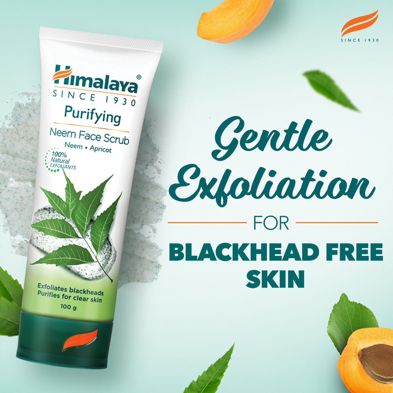 Image of HIMALAYA PURIFYING NEEM FACE SCRUB 100G Scrub