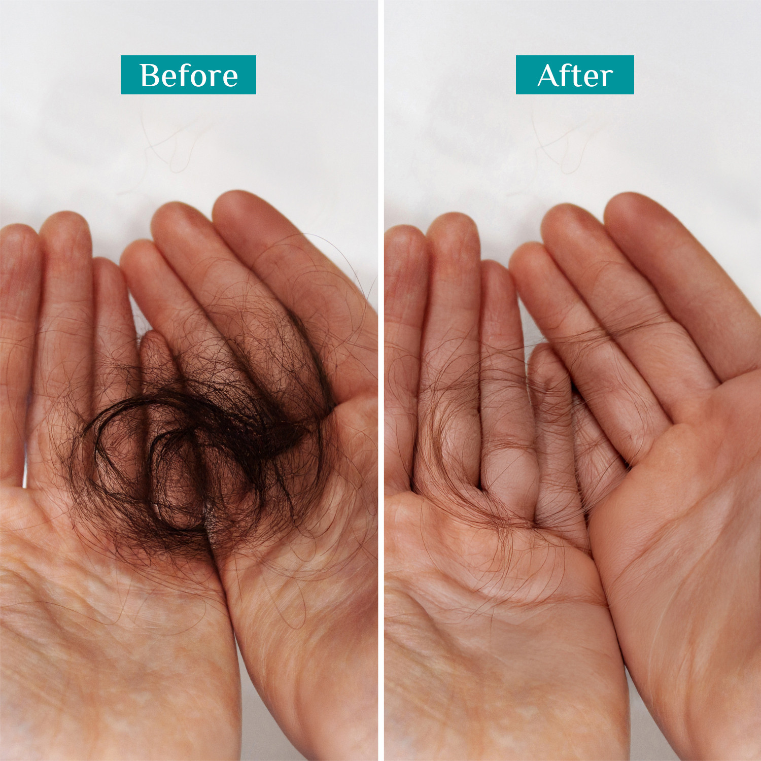 Image of Pilgrim Spanish Rosemary Anti Hairfall Shampoo for Women & Men | Promotes Hair Growth