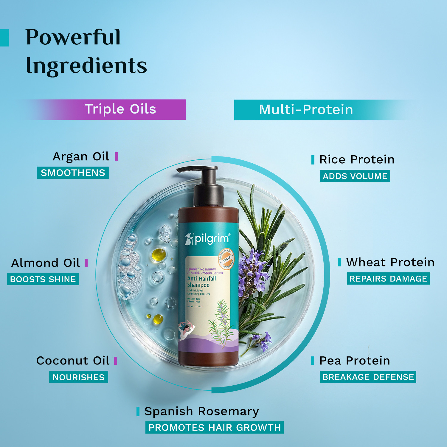 Image of Pilgrim Spanish Rosemary Anti Hairfall Shampoo for Women & Men | Promotes Hair Growth