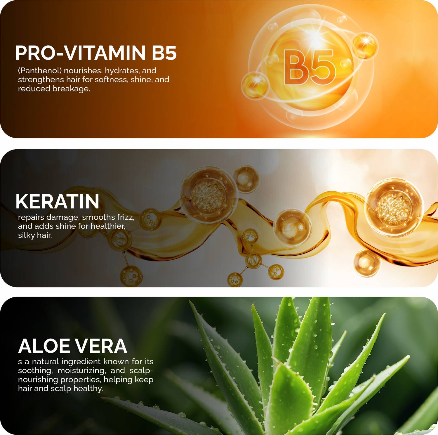 Phillox Daily Nourishing Shampoo with Pro-Vitamin B5 & Keratin - Image 5
