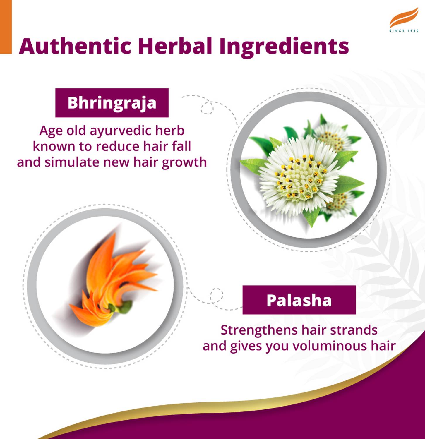 Himalaya Anti-Hair Fall Bhringaraja Shampoo 180ml - Image 3