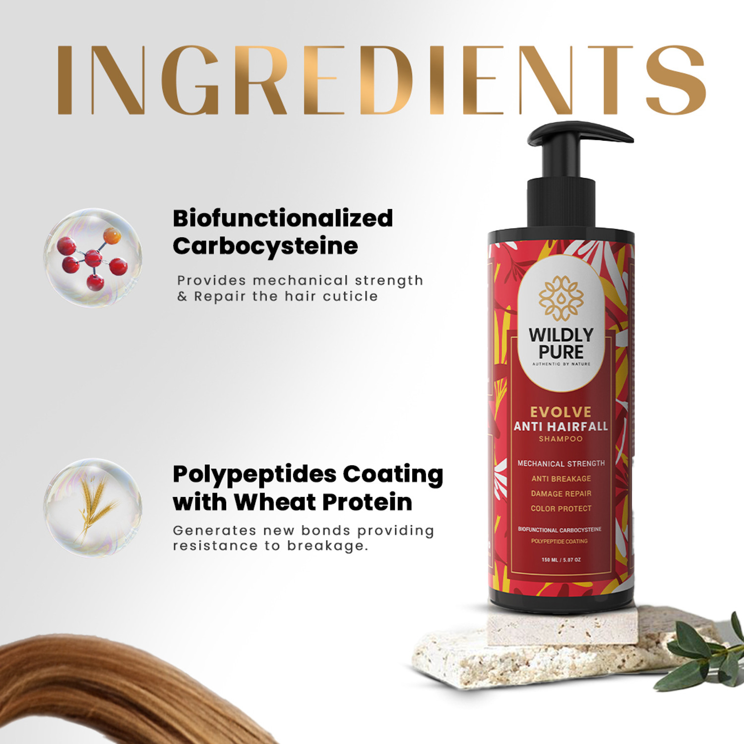 Image of Wildly Pure Anti Hair Fall Shampoo | With 12 Oil & Argan | 30% Frizz Reduction in 1 Wash