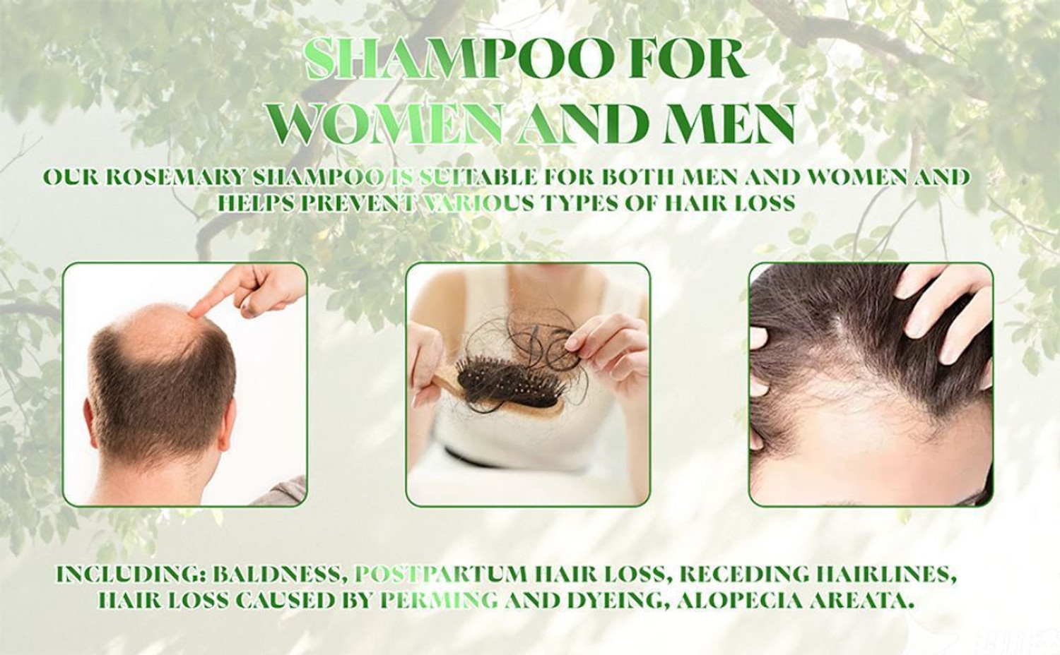Image of Radgettim Organic Rosemary Hair Growth Shampoo Natural Thickening Strengthening Formula