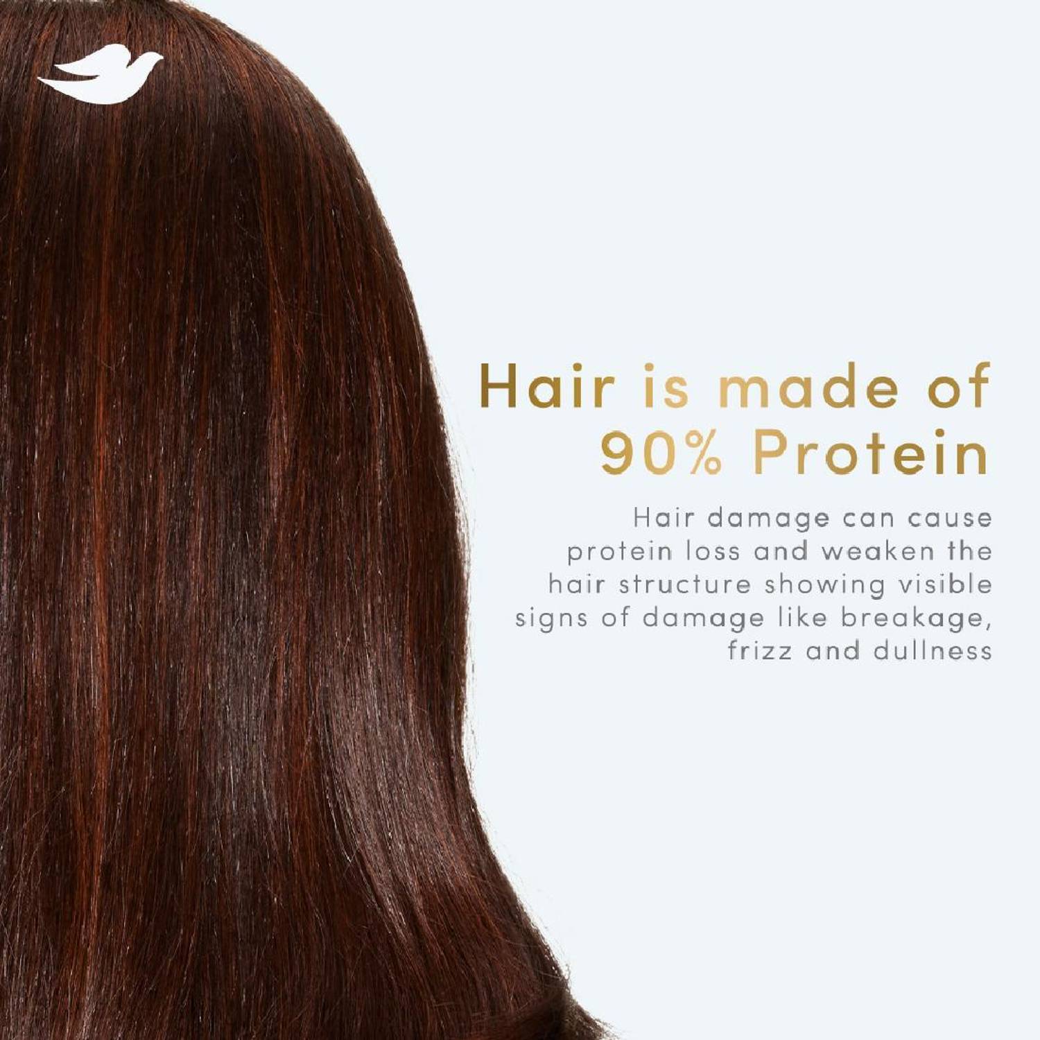 DOVE Hairfall Rescue Shampoo, Nutrilock Actives - Image 5
