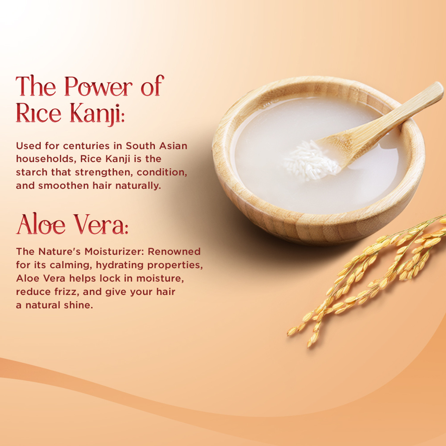 Image of Meera Shampoo with Rice Kanji and | Aloe Vera for Smooth & Shiny Hair upto 72 Hours|