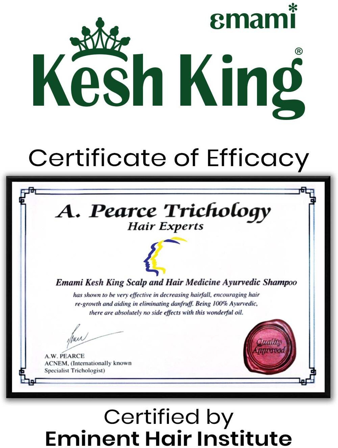 Image of Kesh King Ayurvedic Anti Hair Fall Shampoo (Pack Of 2)