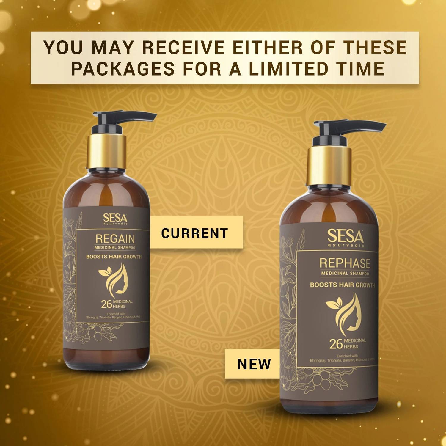 SESA Rephase Ayurvedic Shampoo for Hair Fall Control - Image 2