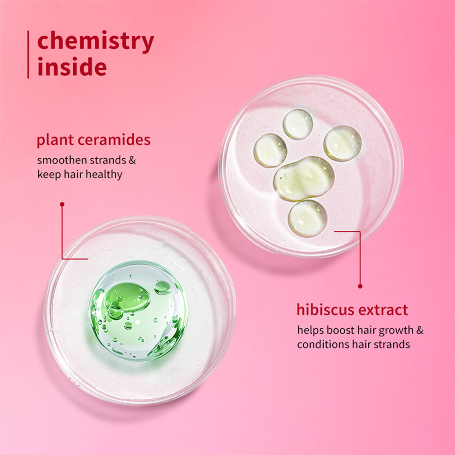 Image of Plum Hibiscus & Ceramides Long & Healthy Shampoo|Conditions Hair,Prevents Split Ends