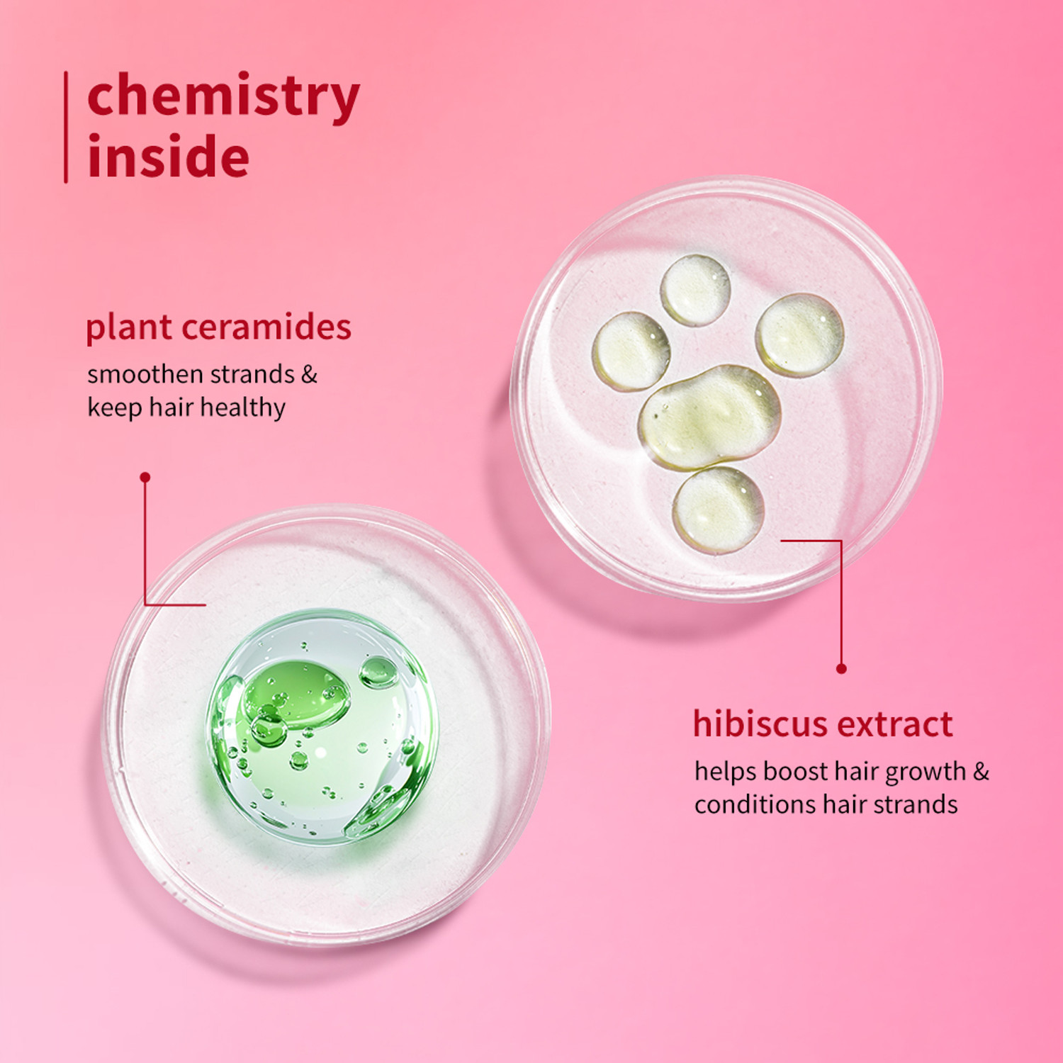 Image of Plum Hibiscus & Ceramides Long & Healthy Shampoo| Prevents Split Ends