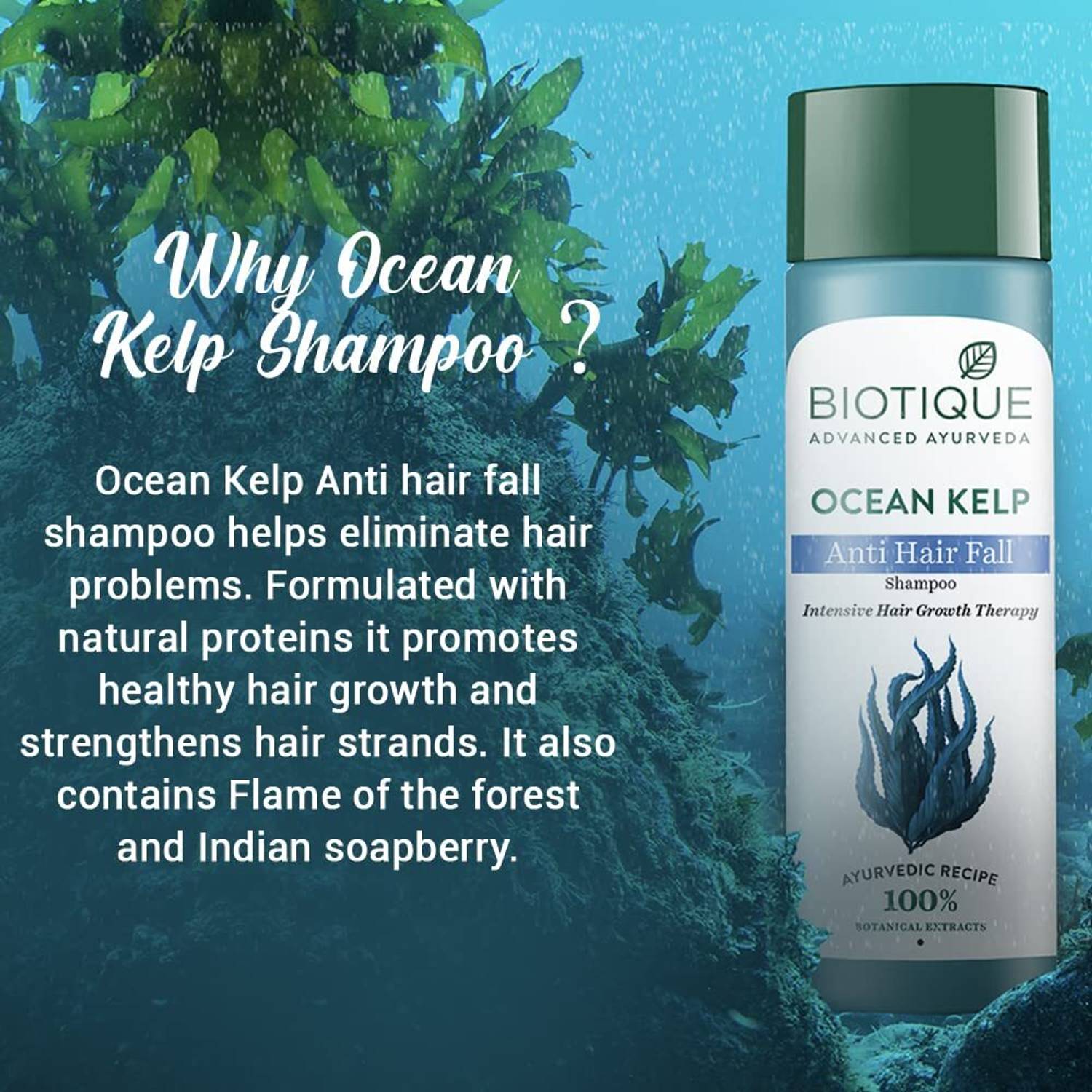 BIOTIQUE Ocean Kelp Anti Hairfall Shampoo 100ml - Image 4
