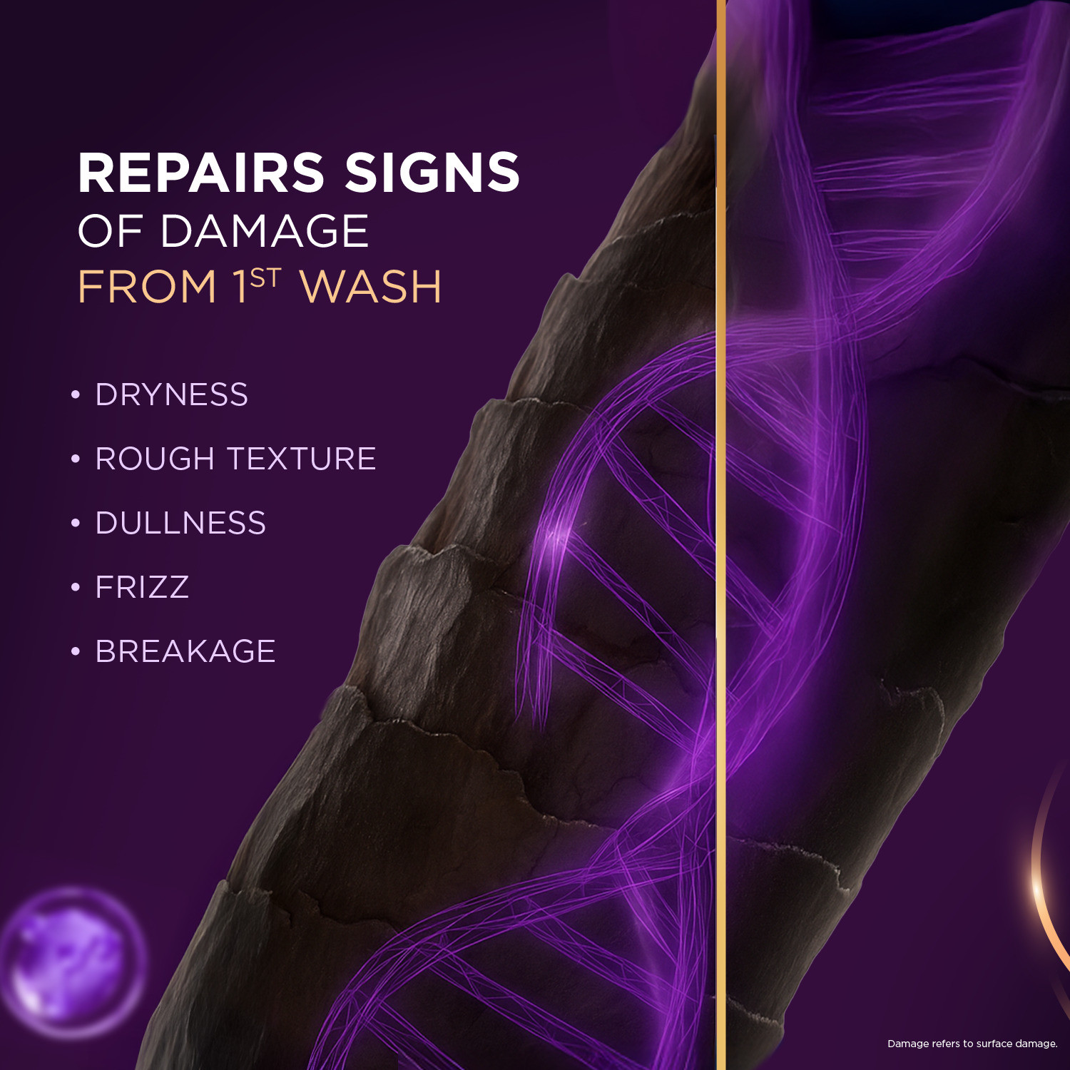 Image of LIVON Keratin Shampoo | Repairs Damaged Hair | Smooth & 5x Stronger Hair | No Parabens