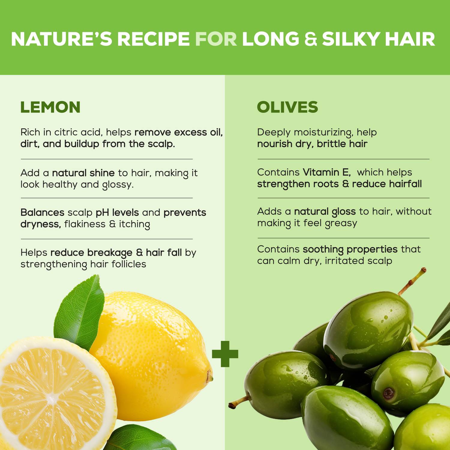 Joy Hair Dryness Control Shampoo Lemon & Olives - Image 3