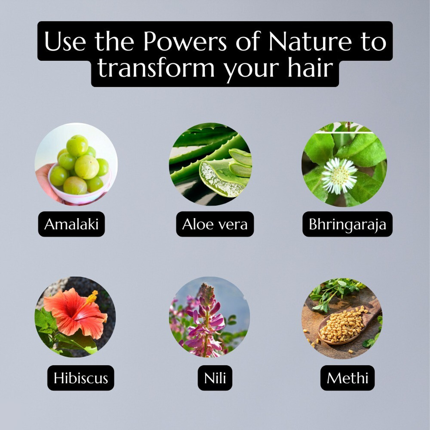 Image of Atrimed Denz & Darc Herbal Therapeutic Shampoo