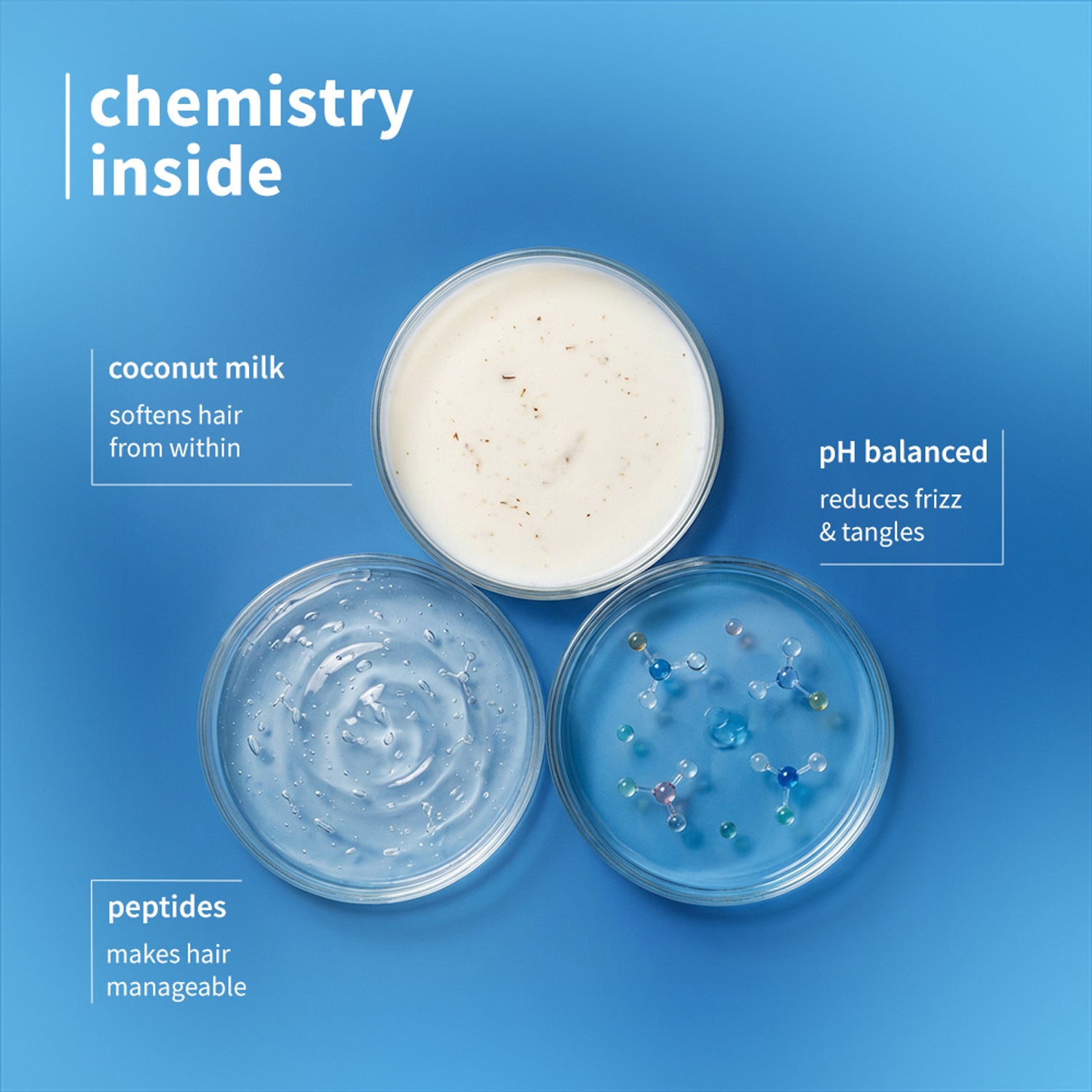 Image of Plum Coconut Milk & Peptides Strength and Shine Shampoo