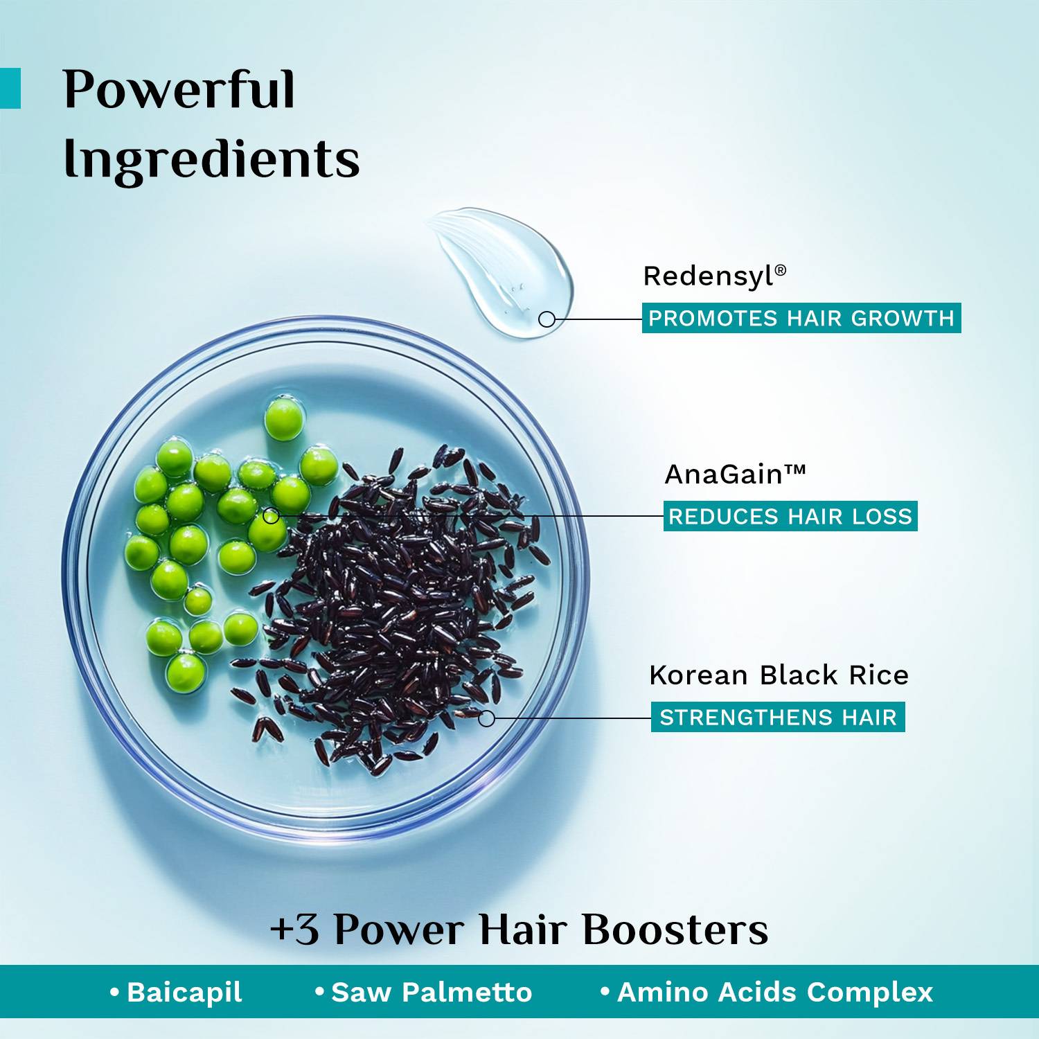 Pilgrim Redensyl & Anagain Hairfall Control Shampoo 200 ml - Image 2