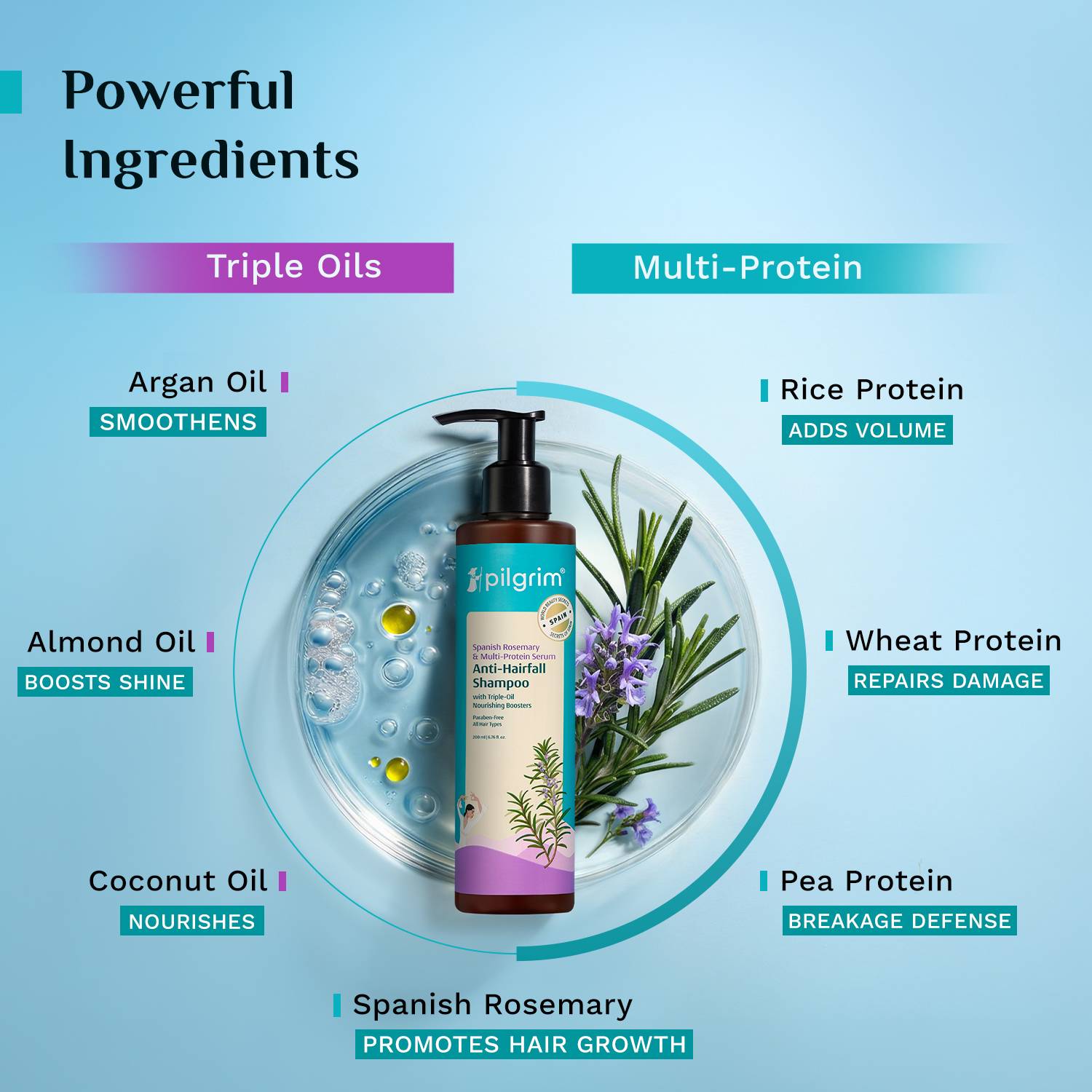 Pilgrim Spanish Rosemary Anti Hairfall Shampoo 200ml - Image 4