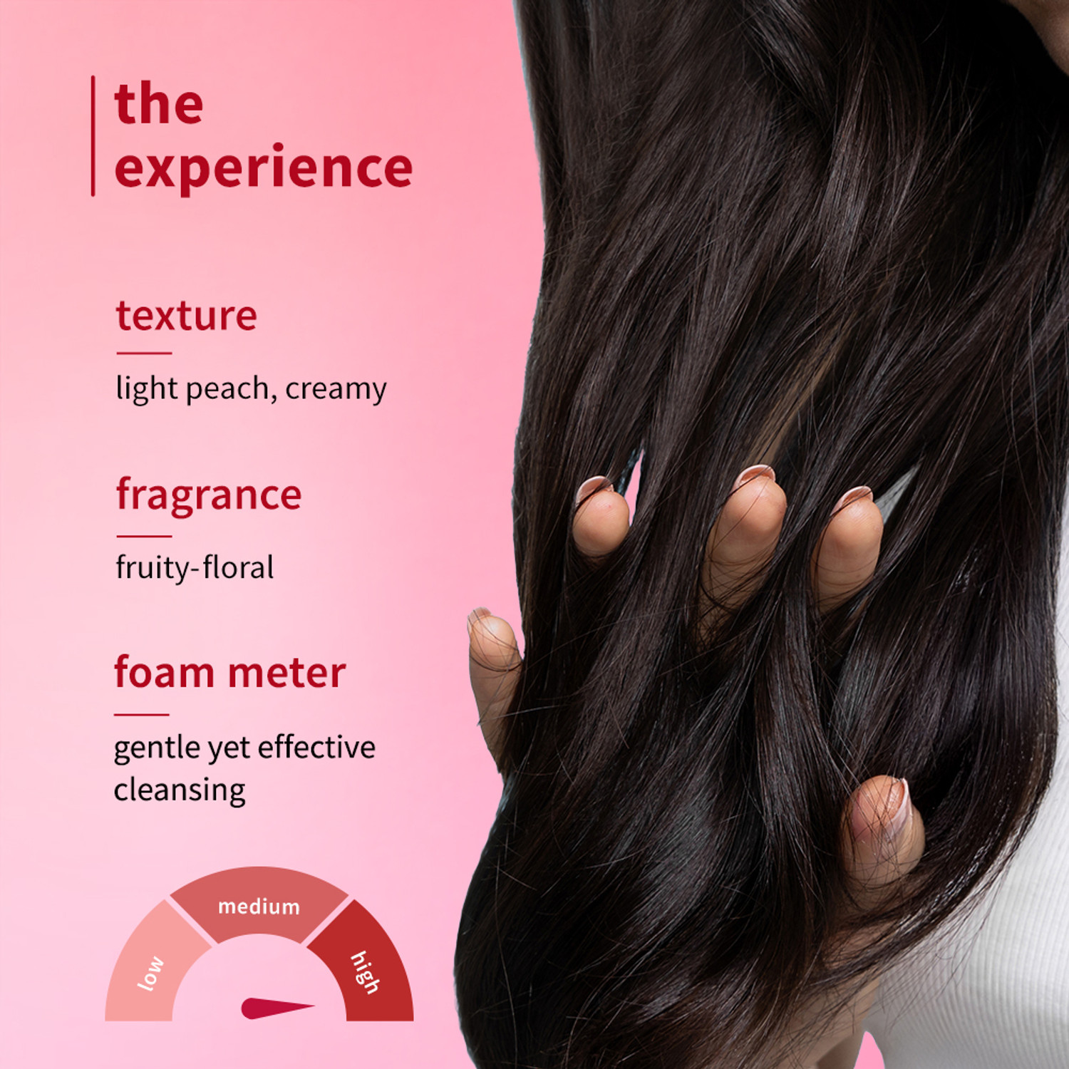 Image of Plum Hibiscus & Ceramides Long & Healthy Shampoo| Prevents Split Ends