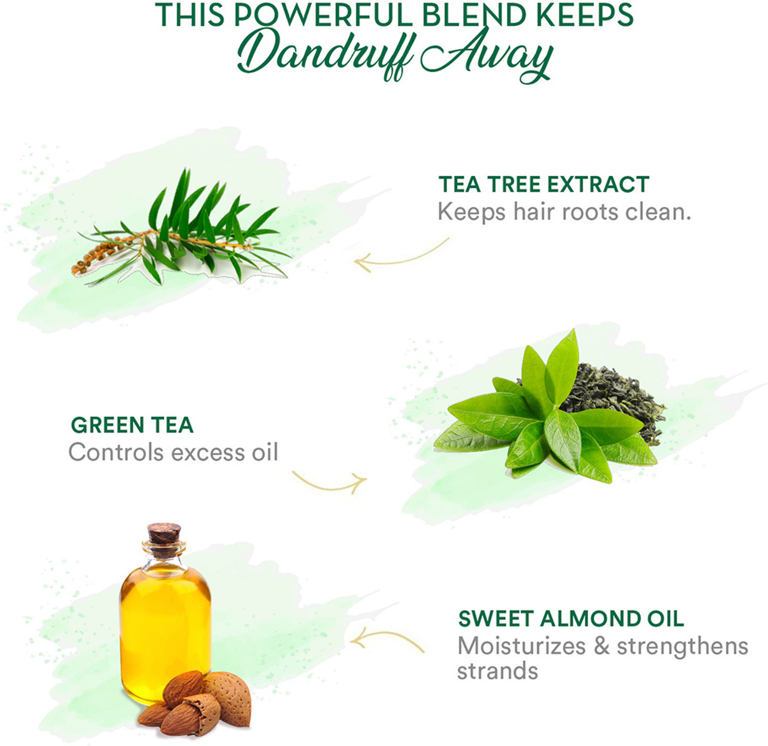 Image of WOW SKIN SCIENCE Green Tea & Tea Tree Anti-Dandruff Shampoo - NO Sulphates, Parabens, Silicones, Color & PEG - 300mL