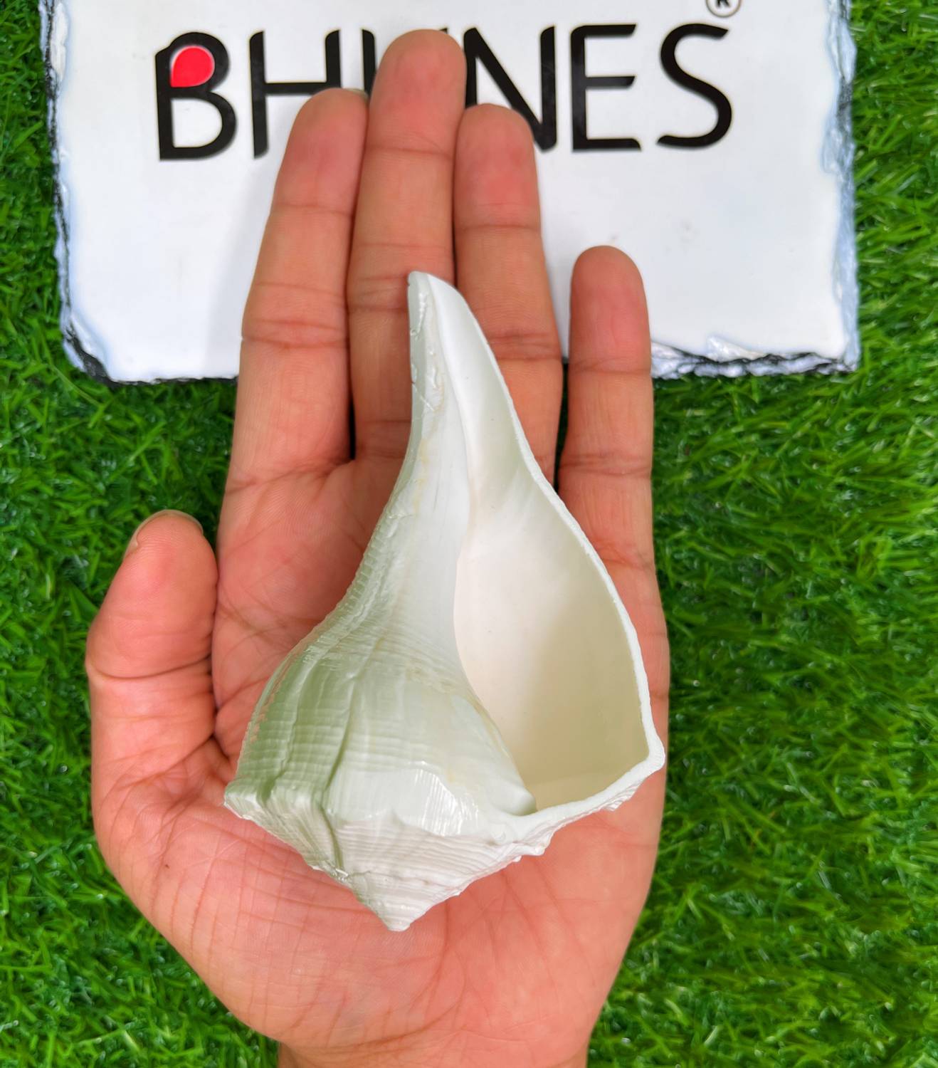 Bhunes Natural Pooja Right Hand Lakshmi Valampuri Shankh, Dakshinavarti Conch Sacred Shankh