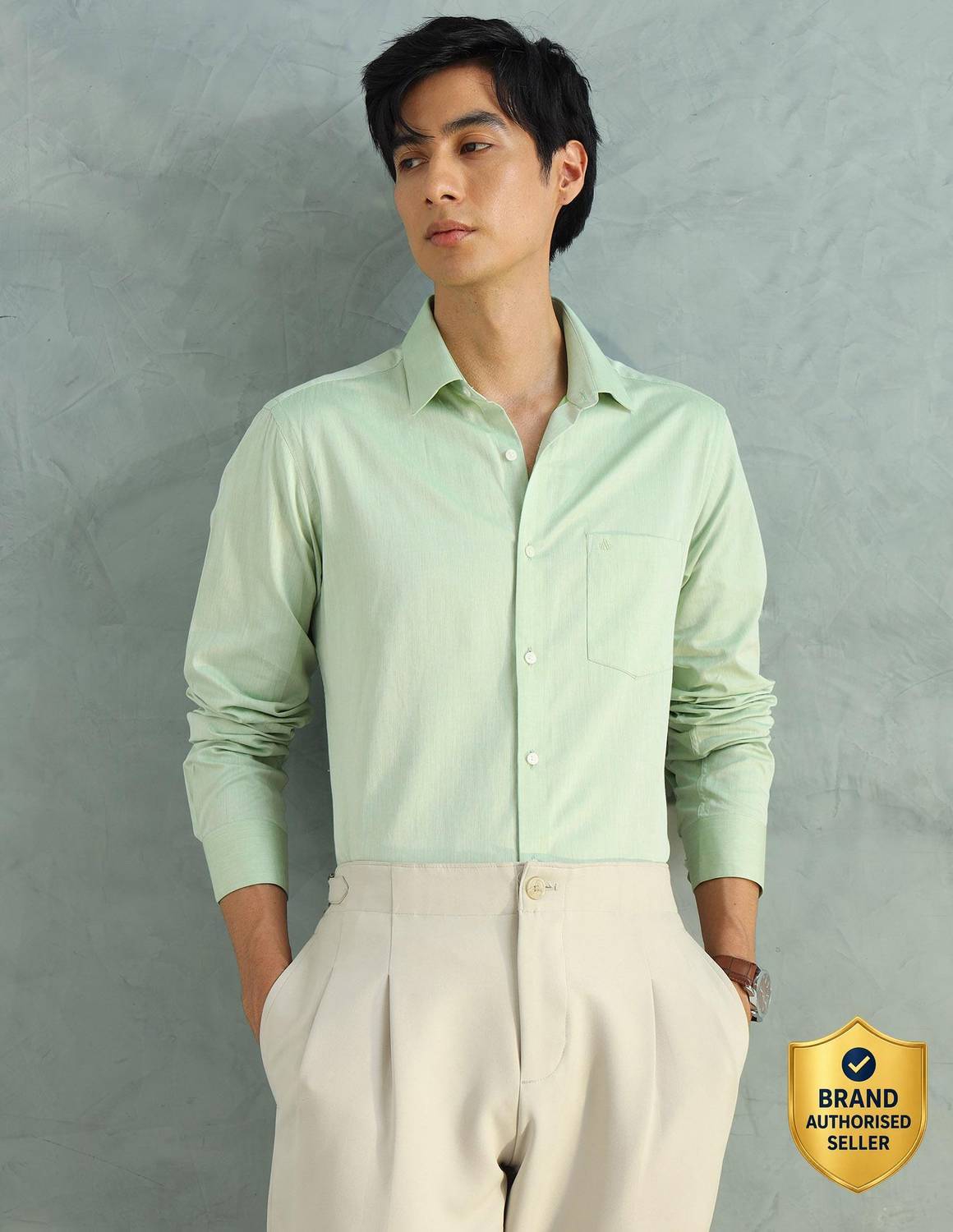 ARROW Men Solid Formal Green Shirt