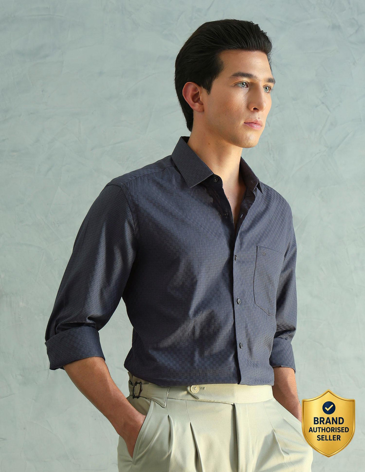 Image of ARROW Men Solid Formal Grey Shirt