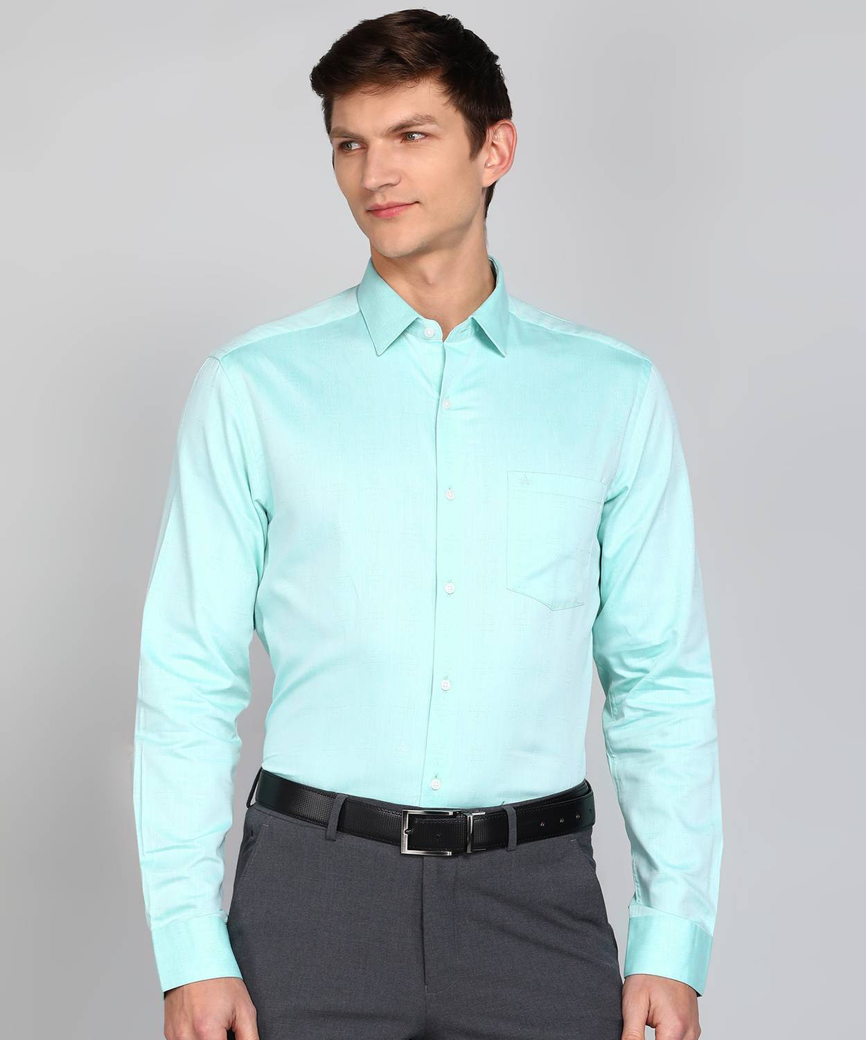 ARROW Men Self Design Formal Green Shirt