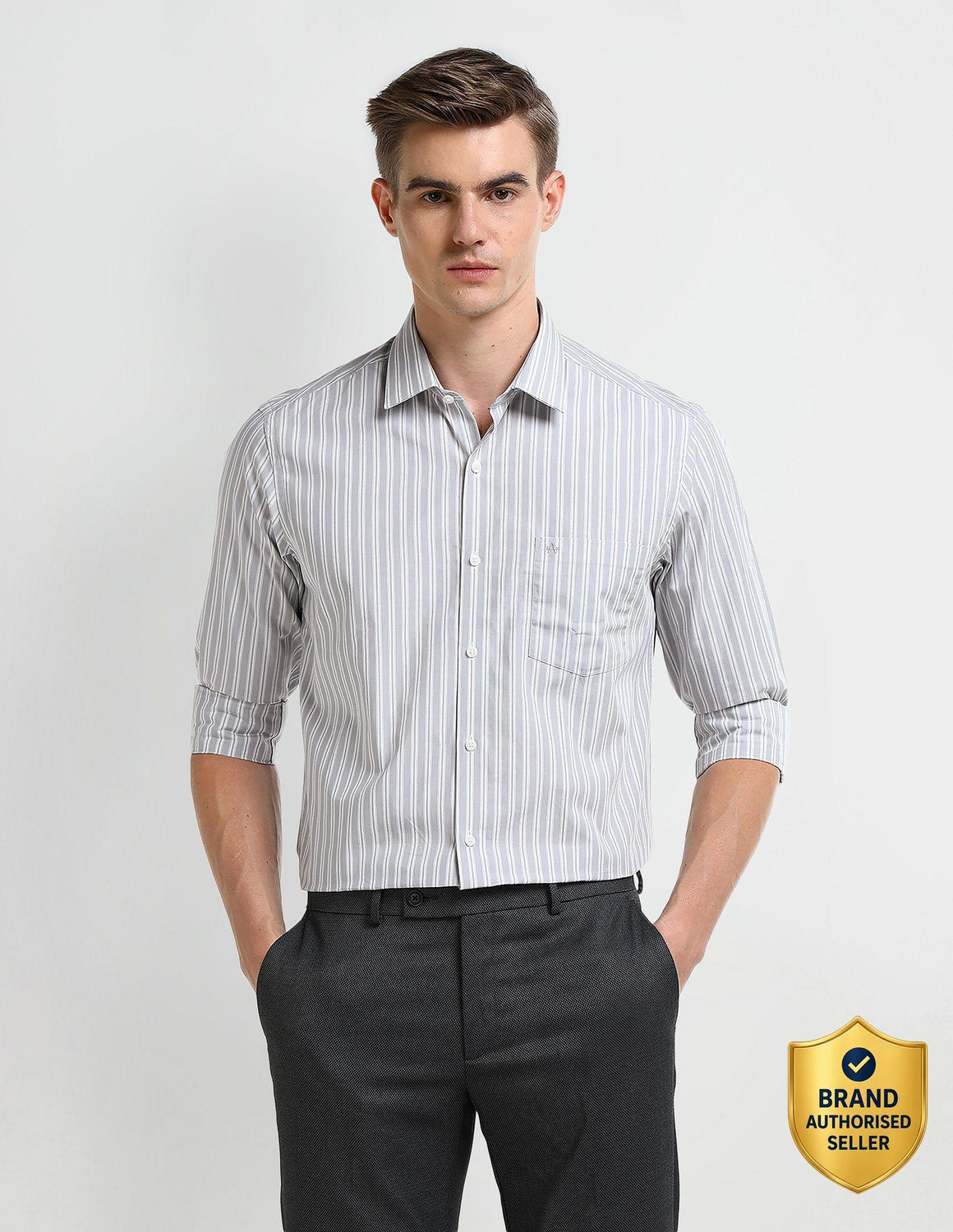 ARROW Men Striped Formal Grey Shirt
