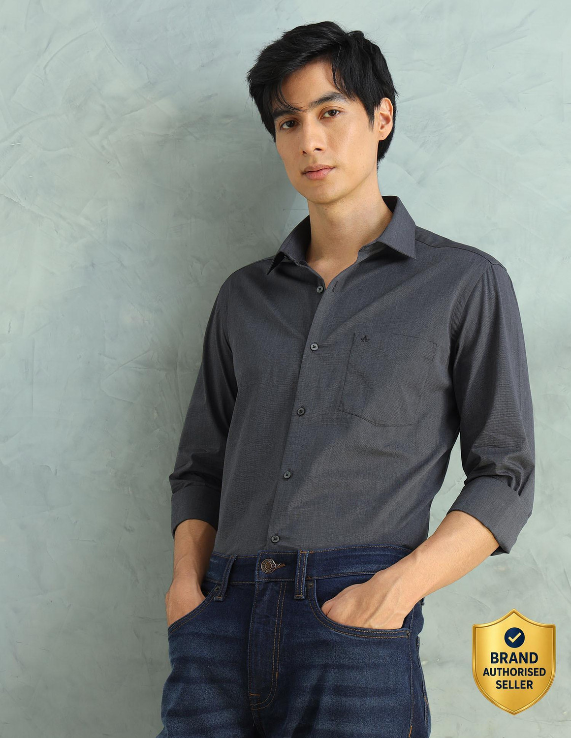 Image of ARROW Men Solid Formal Grey Shirt