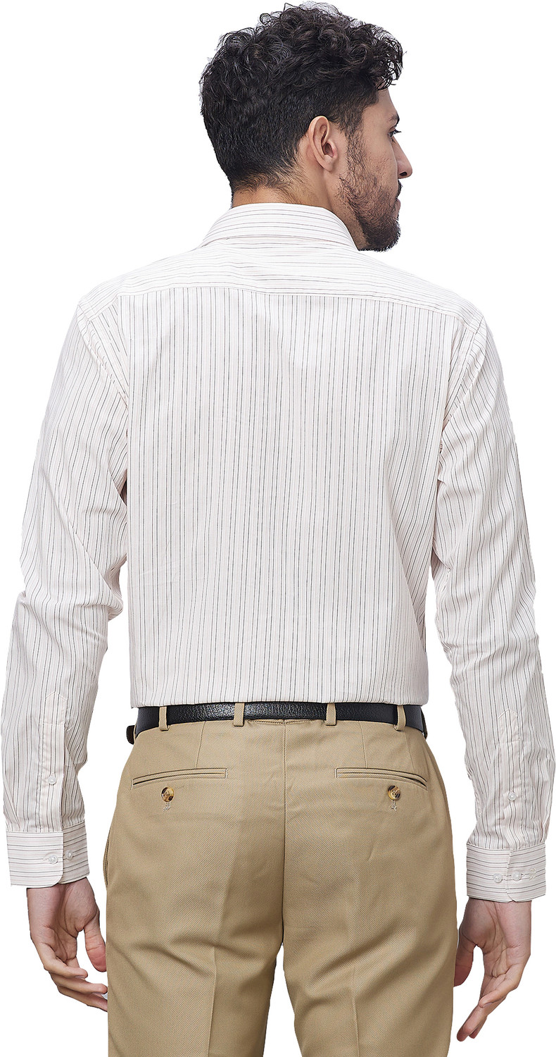 Image of Raymond Men Striped Formal Multicolor Shirt