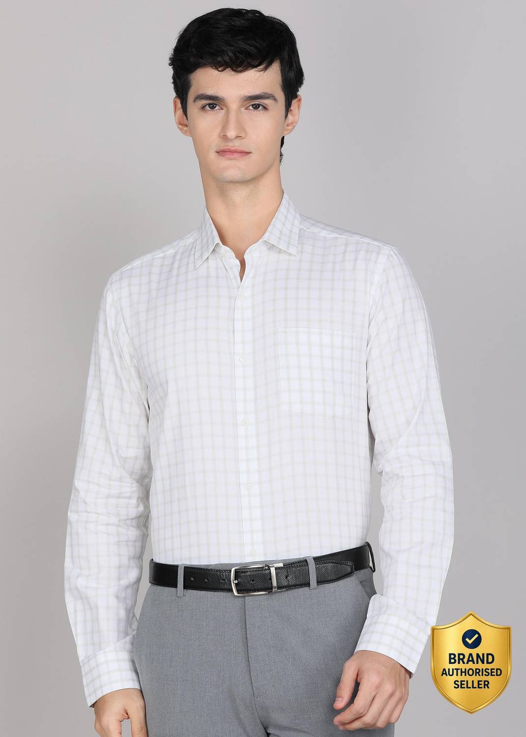 ARROW Men Checkered Formal Green Shirt