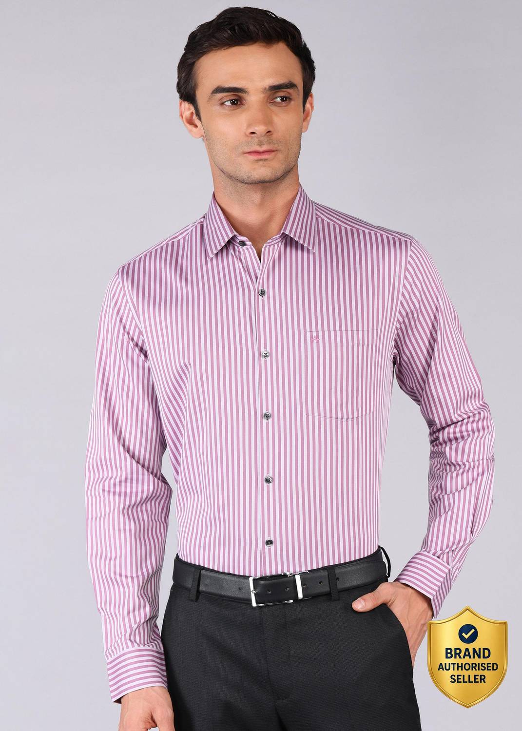 ARROW Men Striped Formal Purple Shirt