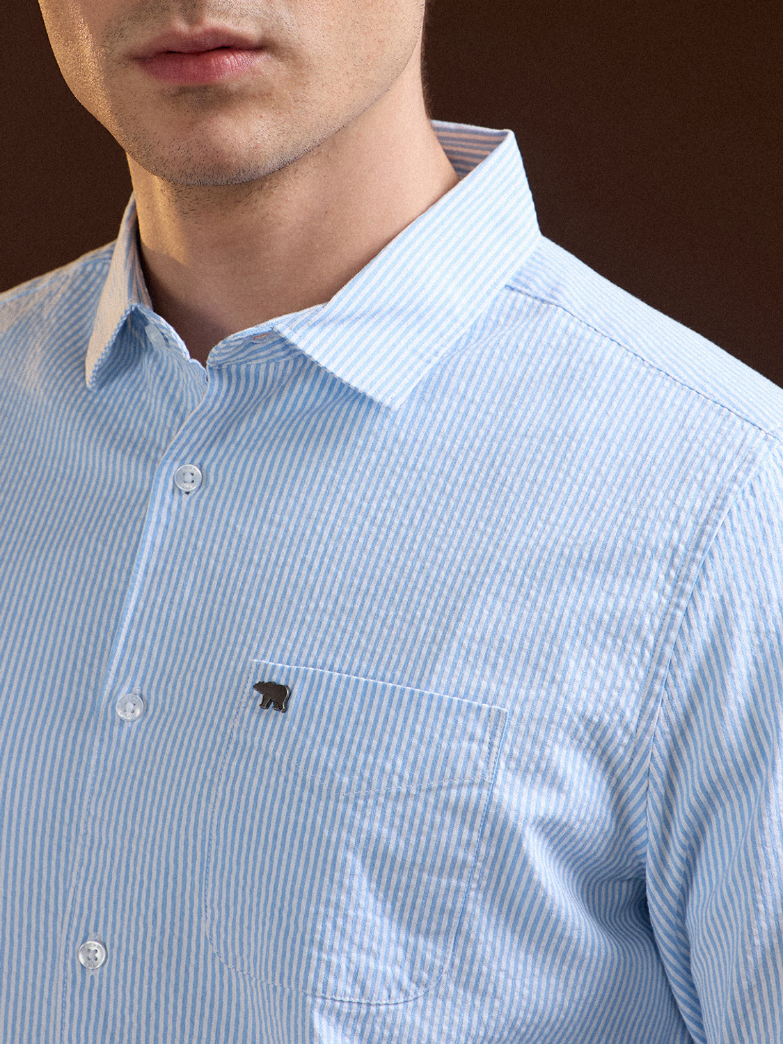 Image of THE BEAR HOUSE Men Striped Casual Blue Shirt
