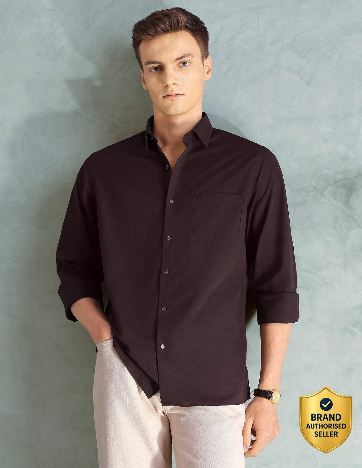 Image of ARROW Men Solid Formal Maroon Shirt