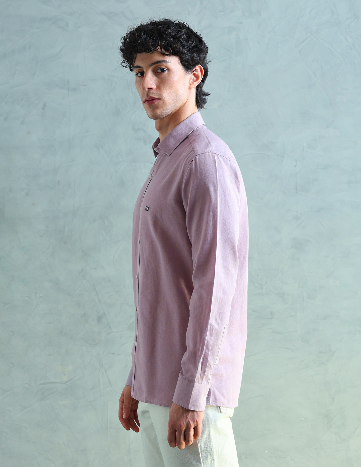 Image of Arrow Sport Men Solid Formal Purple Shirt