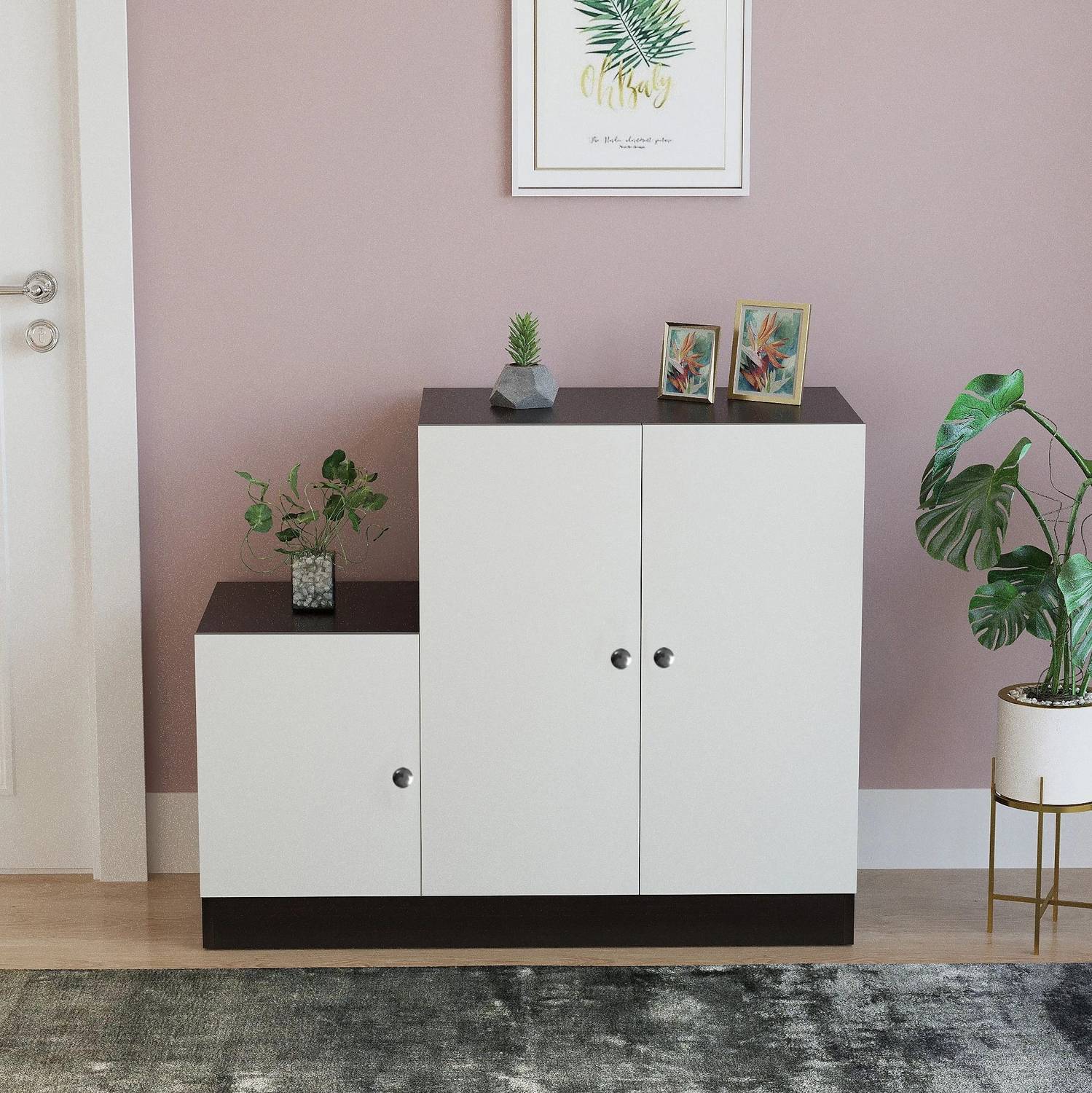 FURNEASER Embliss Shoe Rack Cabinet with Door, Shoe, Footwear Org
