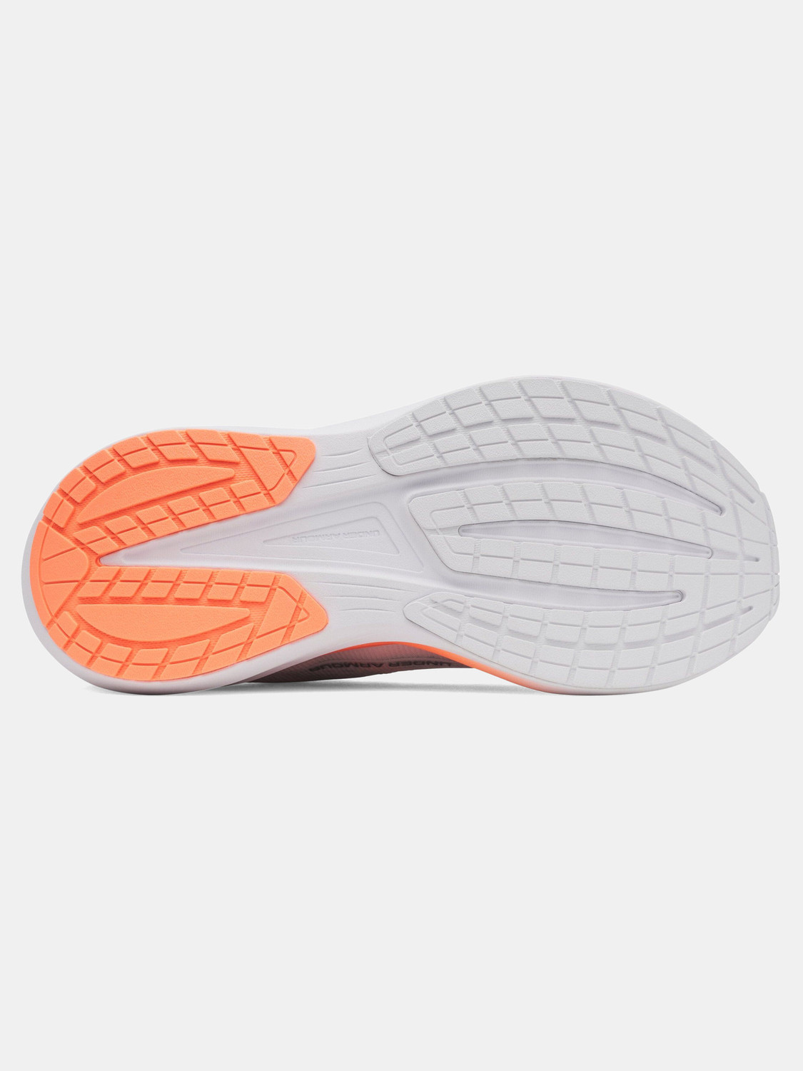 Image of UNDER ARMOUR Velociti Pace Running Shoes For Women